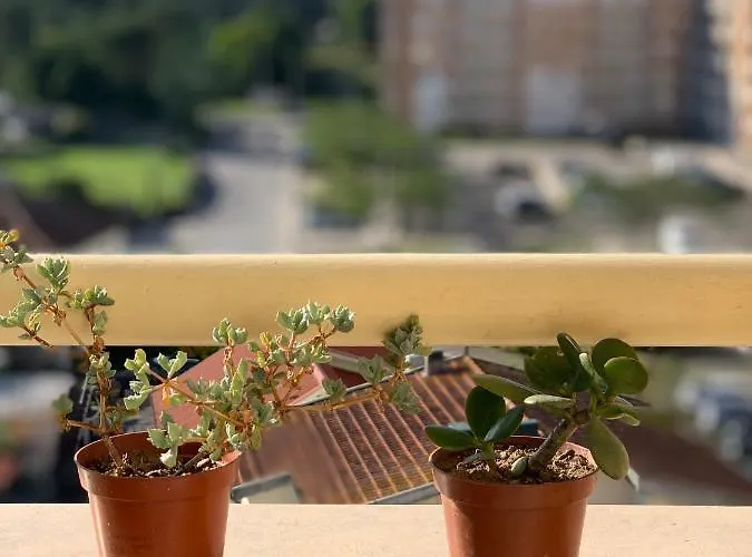 Vintage Gæstehus 3*