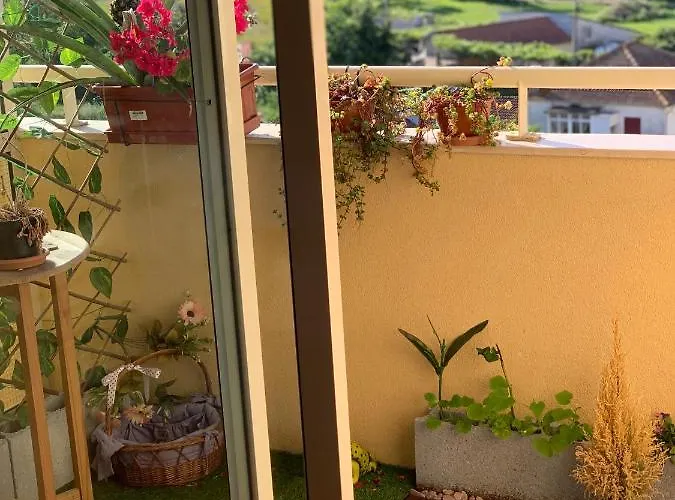 Vintage 게스트하우스 발롱고