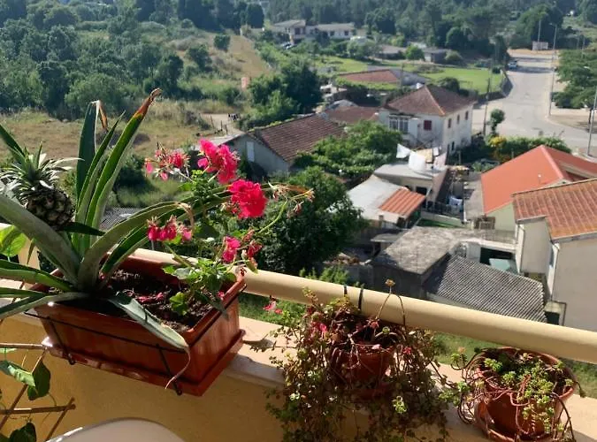 Vintage 게스트하우스 발롱고